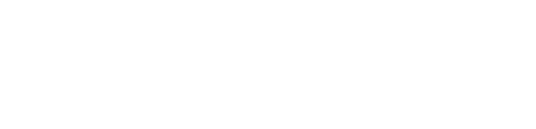 Logo Renault Diniz